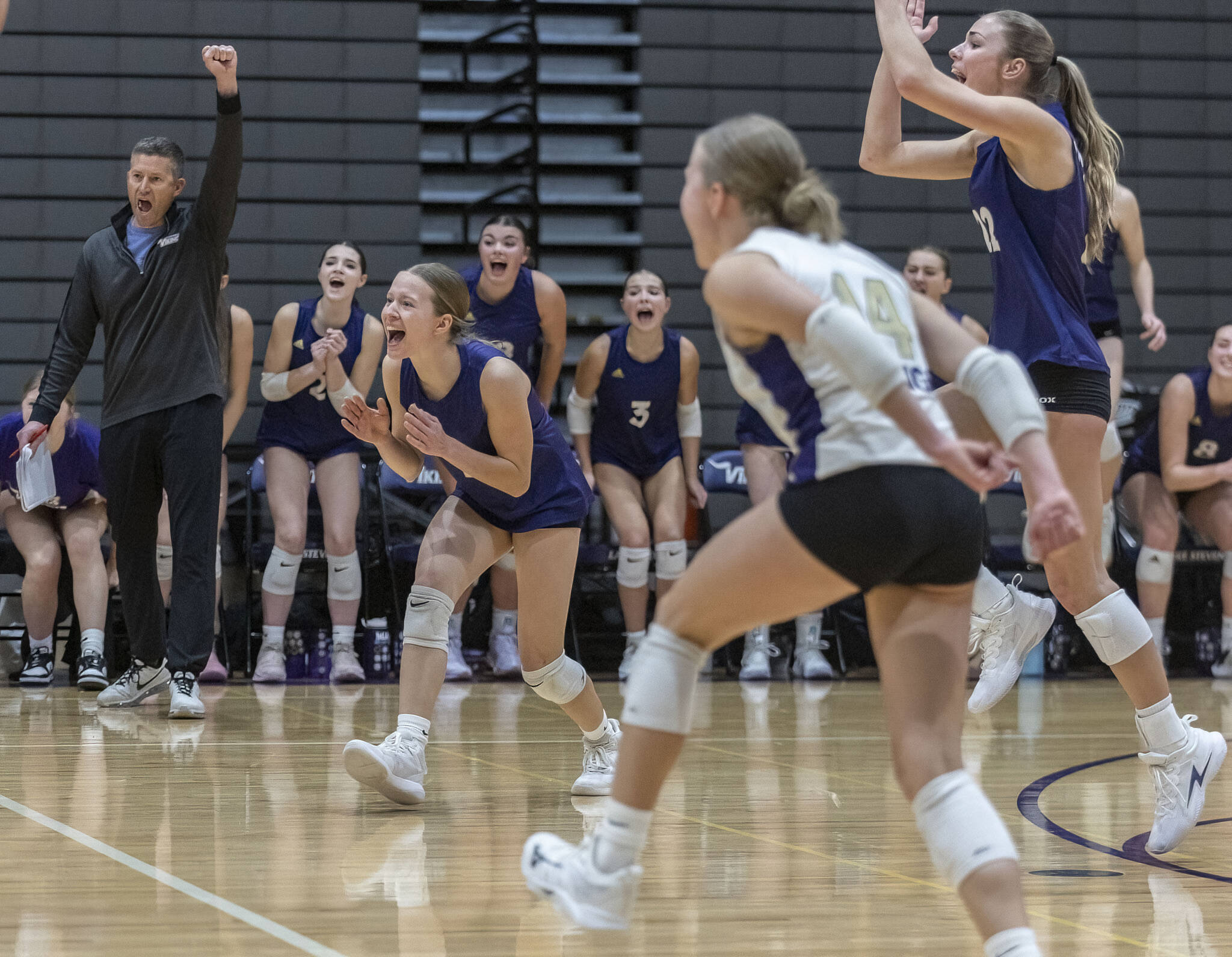 Lake Stevens players and head coach Kyle Hoglund celebrate a point during the 4A district semifinal game on Thursday, Nov. 14, 2024 in Lynnwood, Washington. (Olivia Vanni / The Herald)
