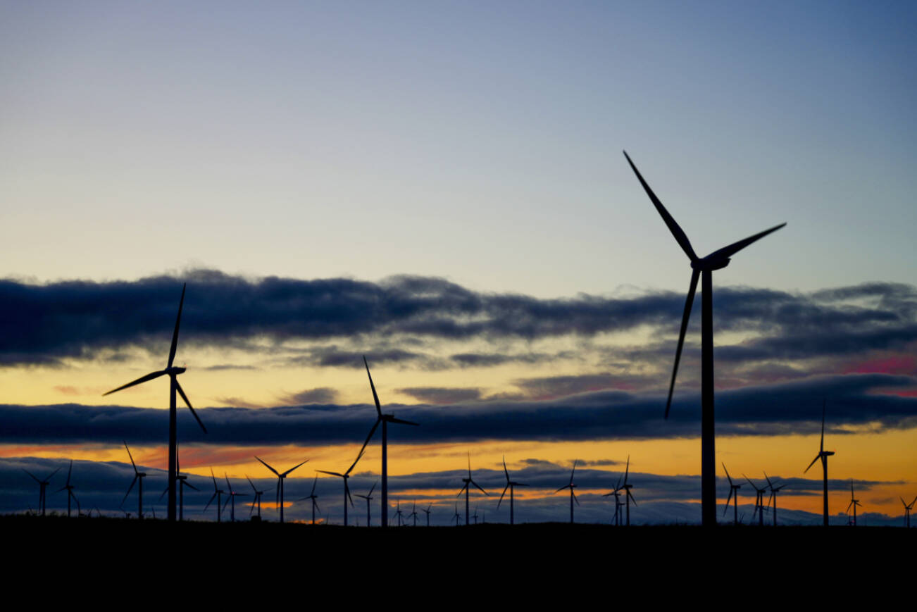 FILE — Wind turbines in Rio Vista, Calif. on Sept. 1, 2023. Gov. Gavin Newsom, Democrat of California, on Tuesday, Nov. 11, 2025, cast himself as the “stable and reliable” American partner to the world, called a White House proposal to open offshore drilling in the waters off California “disgraceful” and urged his fellow Democrats to recast climate change as a “cost of living issue.” (Jim Wilson/The New York Times)