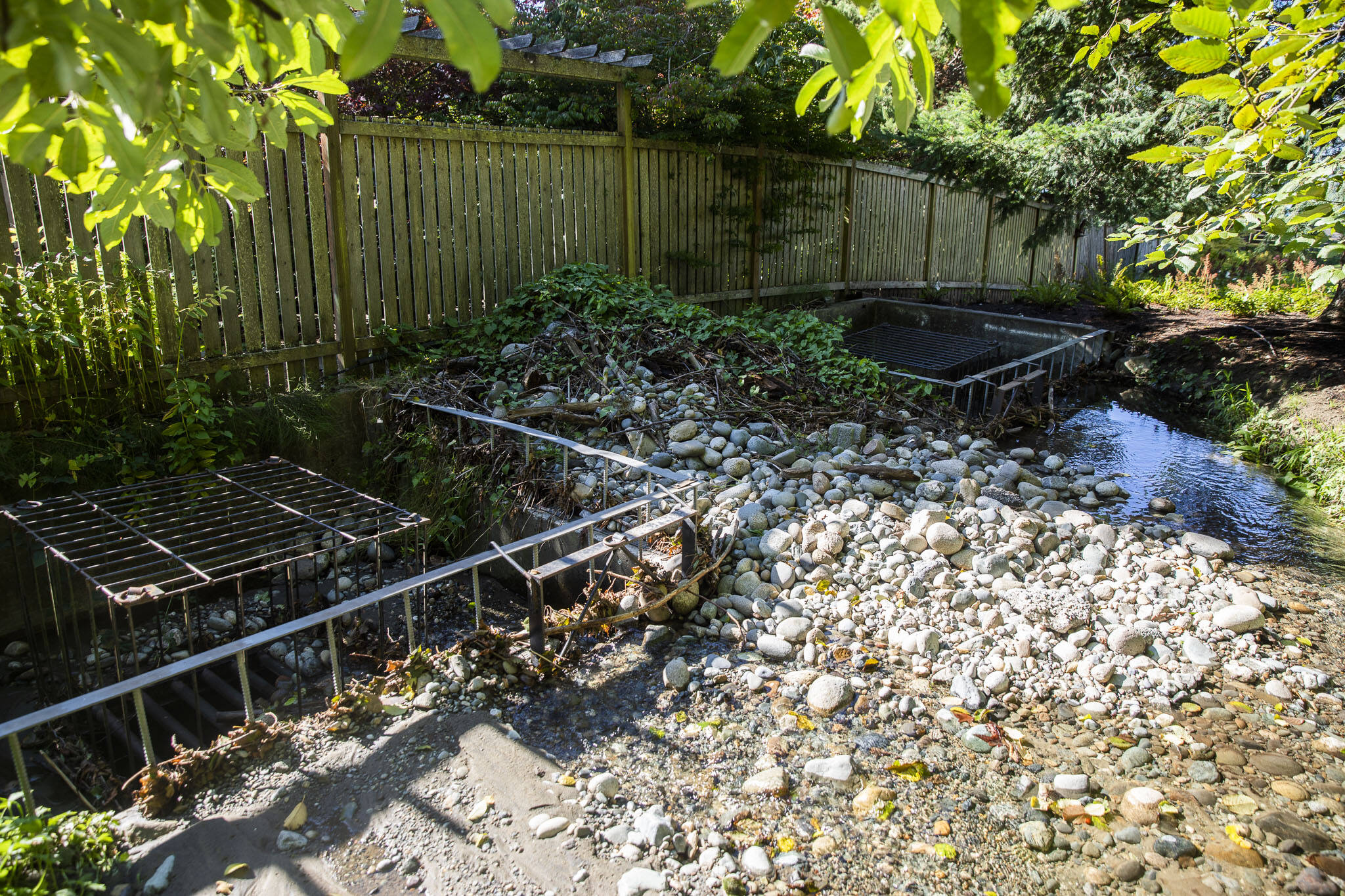 An overflow diversion structure sits along a section of Perrinville Creek near Talbot Road on Monday, Sept. 16, 2024, in Edmonds, Washington. (Olivia Vanni / The Herald)