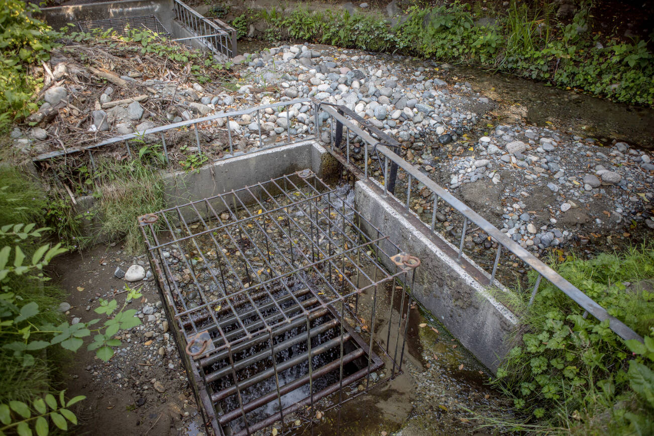 A stormwater diversion structure which has been given a notice for repairs along a section of the Perrinville Creek north of Stamm Overlook Park that flows into Browns Bay in Edmonds, Washington on Thursday, July 18, 2024. (Annie Barker / The Herald)