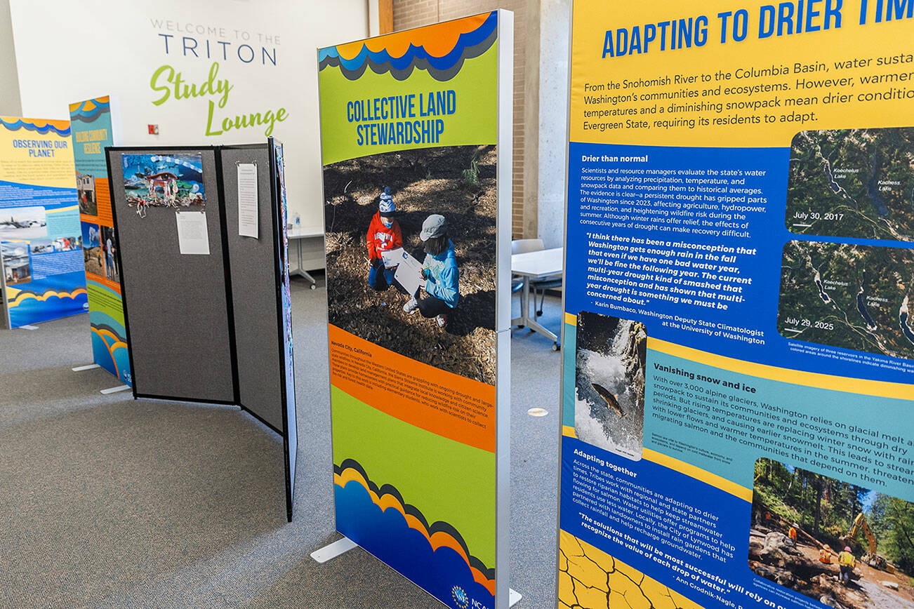Information panels on display as a part of the national exhibit being showcased at Edmonds College on Nov. 19, 2025 in Lynnwood, Washington. (Olivia Vanni / The Herald)