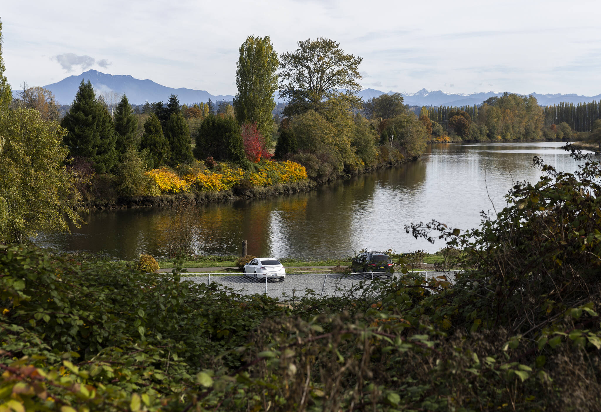 Cars sit in the parking lot of Lowell Riverfront Park next to the Snohomish River on Oct. 21, 2025 in Everett, Washington. (Olivia Vanni / The Herald)