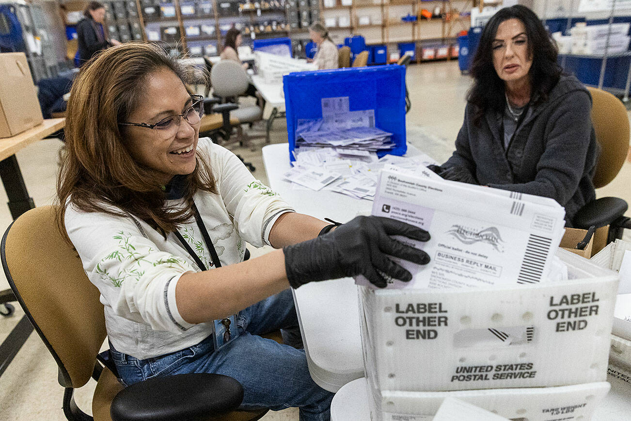 Anne Sarinas, left, and Lisa Kopecki, right, sort ballots to be taken up to the election center to be processed on Nov. 3, 2025 in Everett, Washington. (Olivia Vanni / The Herald)