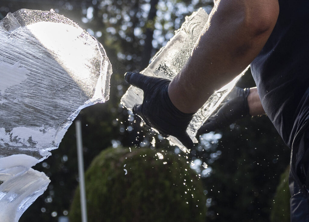 Water falls off a large piece of ice Kitburi picks up from his sculpture to move to the fridge to keep cold for later on Sept. 17, 2025 in Marysville, Washington. (Olivia Vanni / The Herald)
