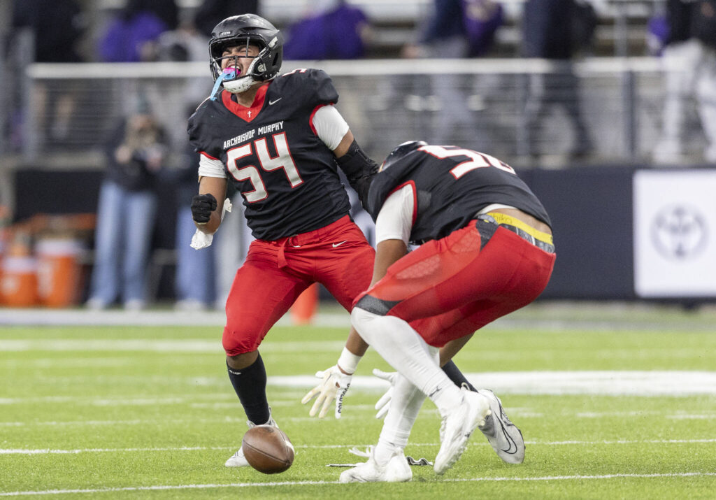 Archbishop Murphy&rsquo;s Logan Fryberg celebrates a sack while Archbishop Murphy&rsquo;s William Wilson picks up the loose ball during the 2A state championship game against Tumwater at Husky Stadium on Saturday, Dec. 6, 2025 in Seattle, Washington. (Olivia Vanni / The Herald)
