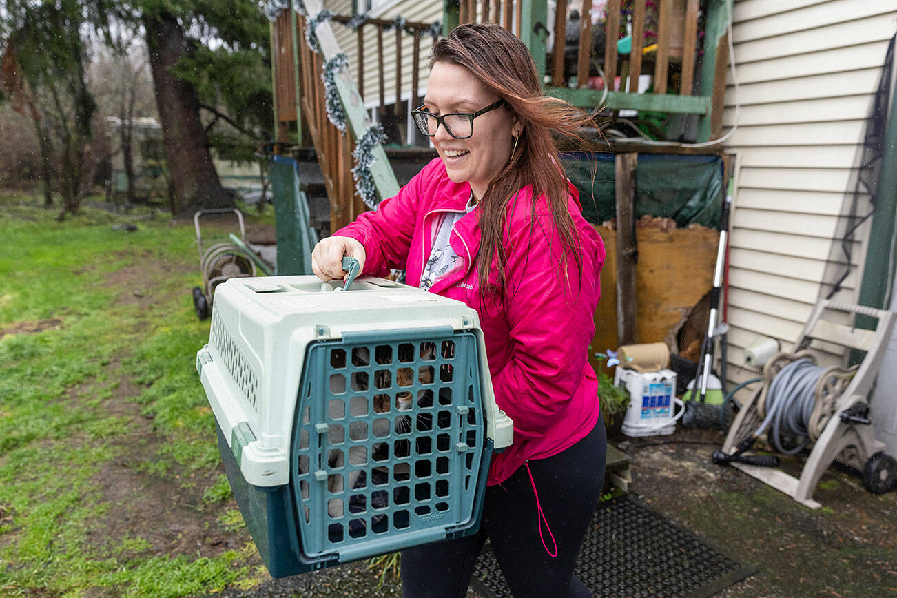Andrea Gould-Linder carries out her uncles’ cat Diva as she helps her family evacuate their home on Ebey Island on Wednesday, Dec. 10, 2025 in Everett, Washington. (Olivia Vanni / The Herald)