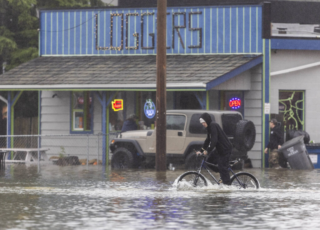 A cyclist tries to navigate floodwater from the Skykomish River covering a section of Main Street on Wednesday, Dec. 10, 2025 in Sultan, Washington. (Olivia Vanni / The Herald)
