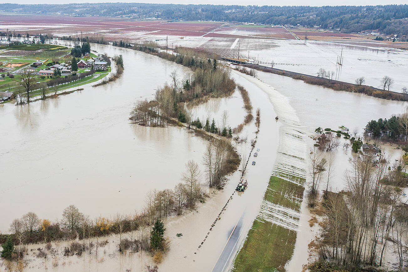 Water from the Snohomish River covers Lowell Snohomish River Road and inundates properties to the west on Thursday, Dec. 11, 2025 in Snohomish, Washington. (Olivia Vanni / The Herald)