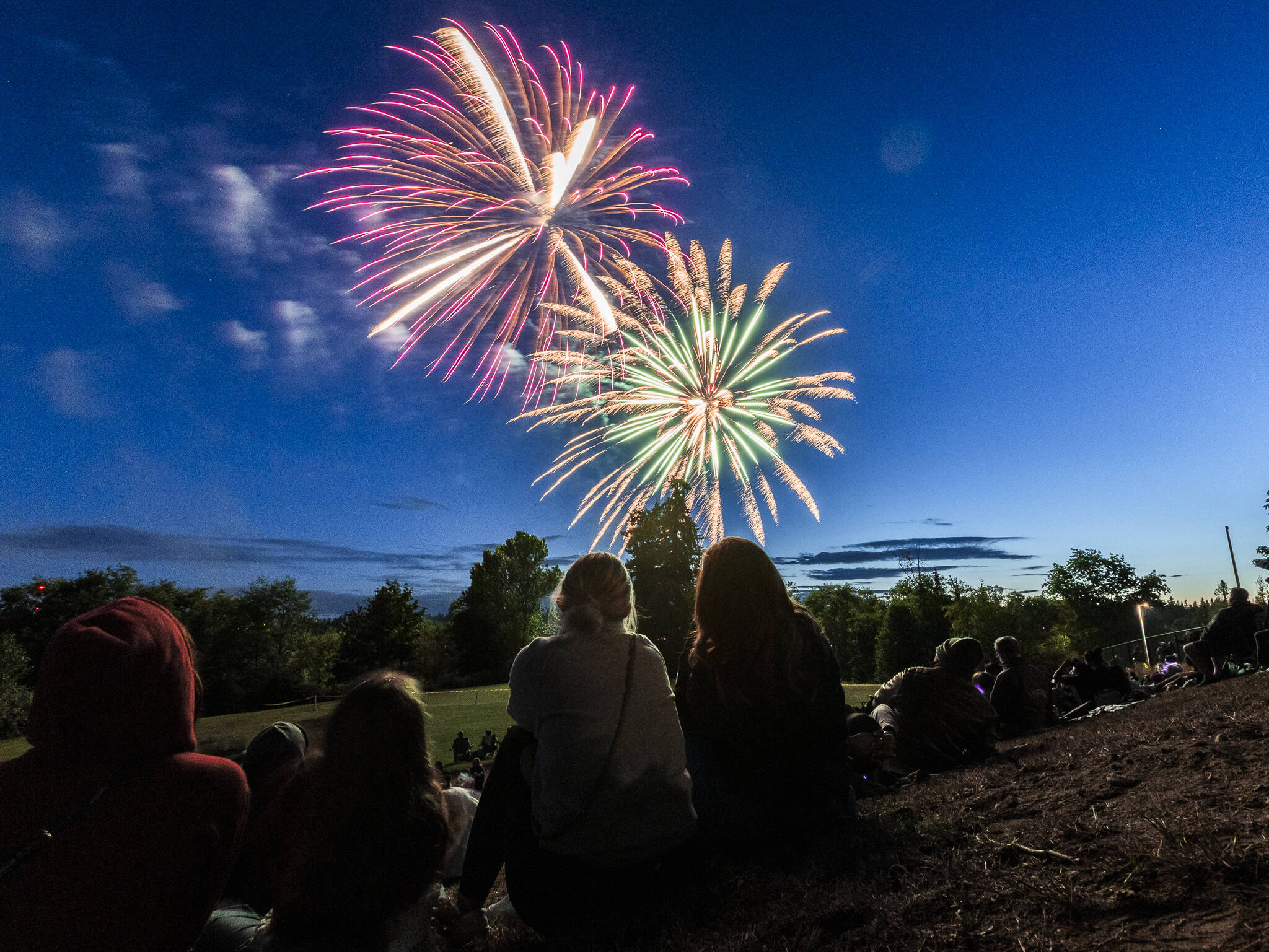 Thousands gather to watch fireworks over Lake Ballinger from Nile Shrine Golf Course and Lake Ballinger Park on Thursday, July 3, 2025, in Mountlake Terrace, Washington. (Olivia Vanni / The Herald)
