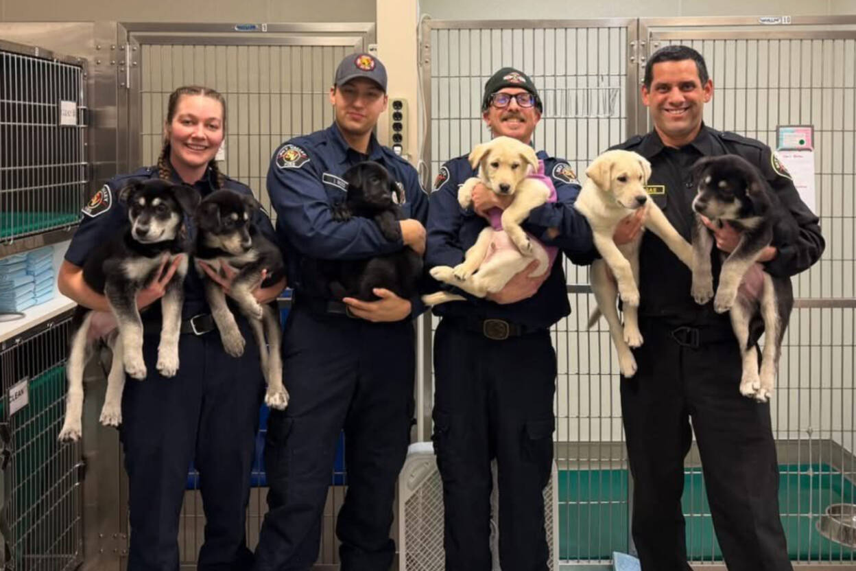 Firefighters pose with the six puppies they resuscitated after they were exposed to environmental poisoning on Sunday, Jan 11, 2026, and taken to Fire Station 54 in Goldbar, Washington. (Sky Valley Fire)
