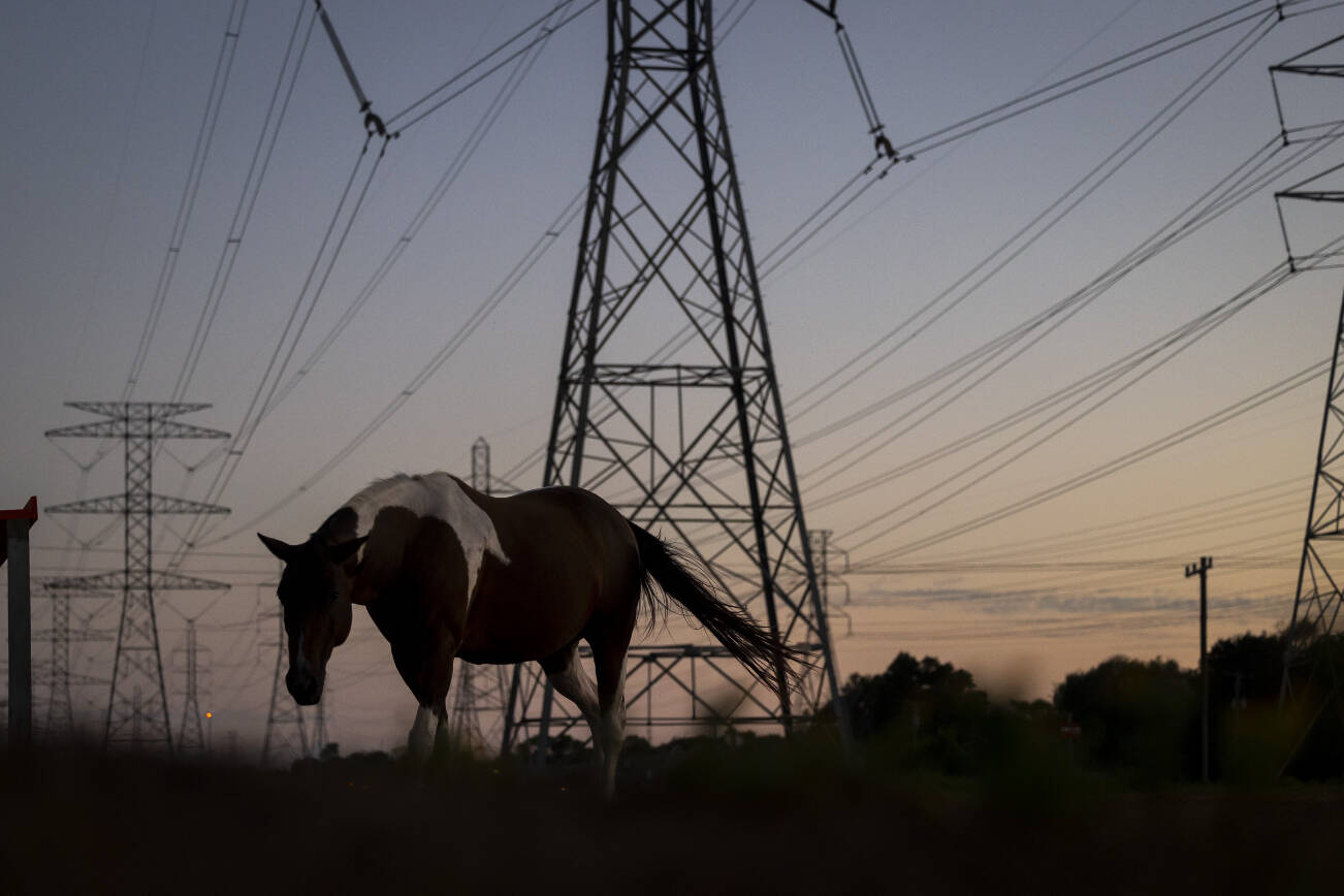 Comment: Two energy roads, different futures for world’s climate