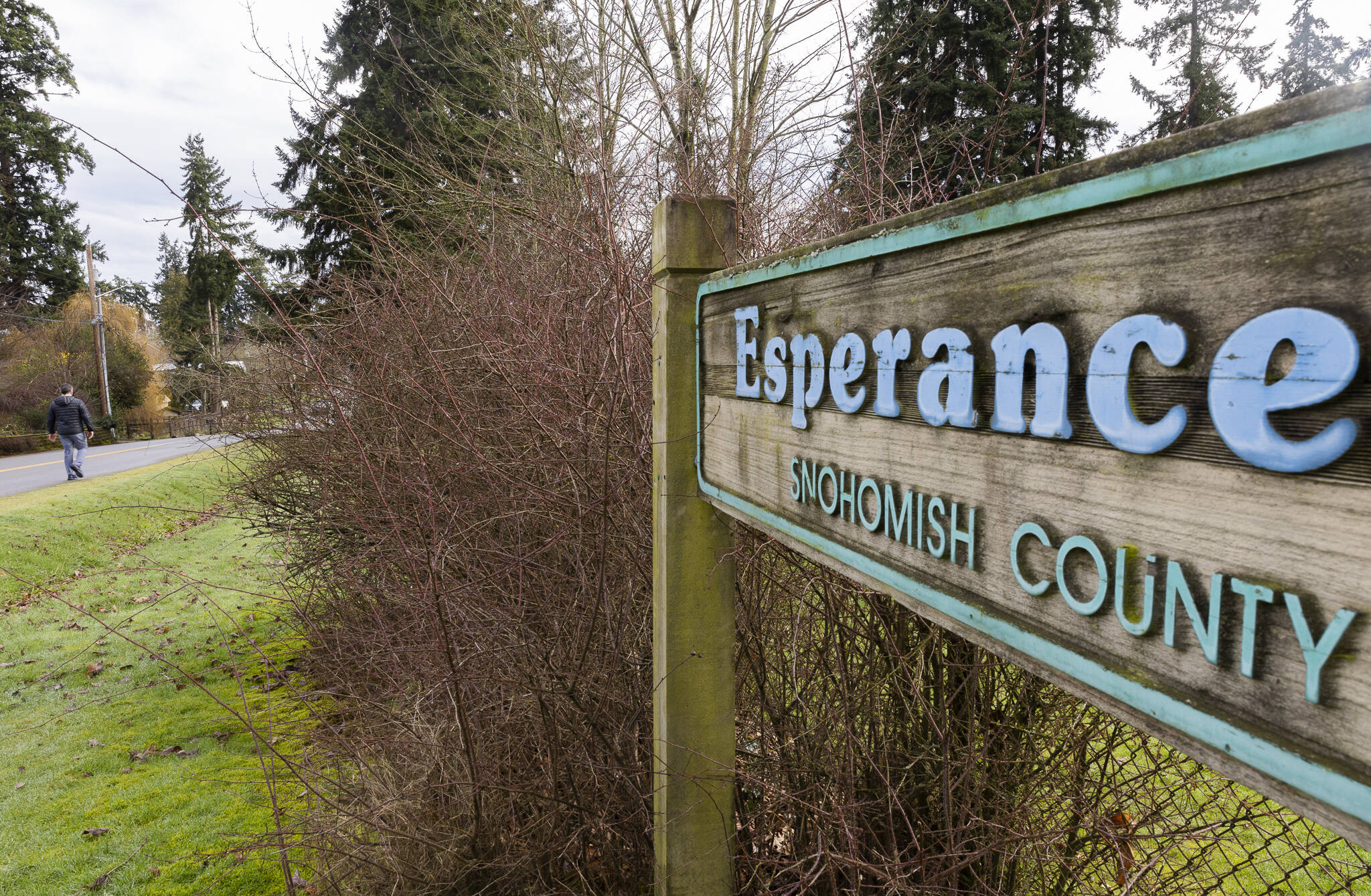 A person walks along 222nd Street Southwest next to Esperance Park on Tuesday, Feb. 3, 2026 in Edmonds, Washington. (Olivia Vanni / The Herald)