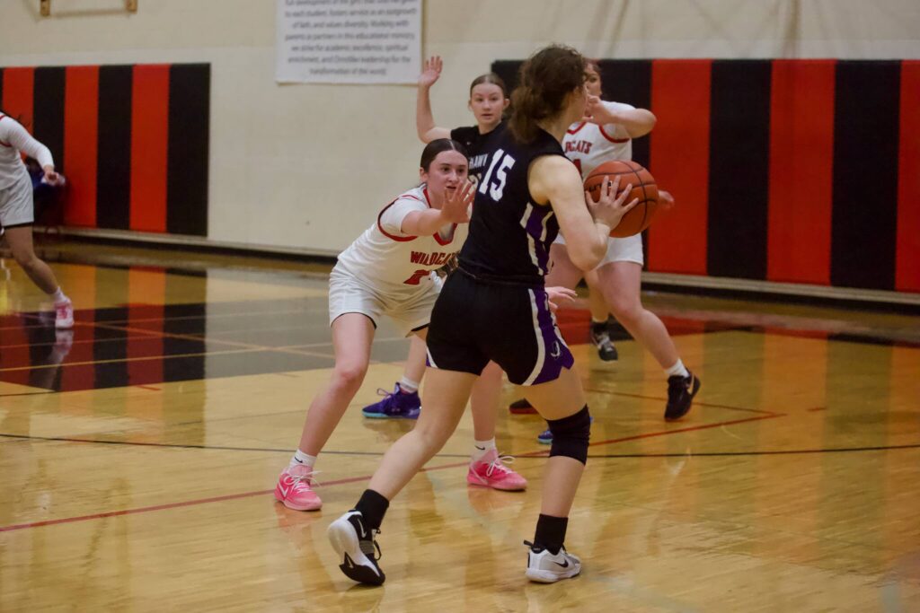 Archbishop Murphy senior Brooke Blachly (2) gets in a defensive stance in front of Anacortes senior Adelaide Nigro during the Wildcats&rsquo; 76-18 win against the Seahawks in the District 1 2A quarterfinals at Archbishop Murphy High School on Feb. 12, 2026. (Joe Pohoryles/The Herald)

