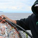 Pick of the Week: Crabbing