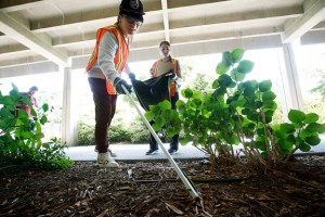 Edmonds CC students clean up real good on ‘Trashy Tuesdays’