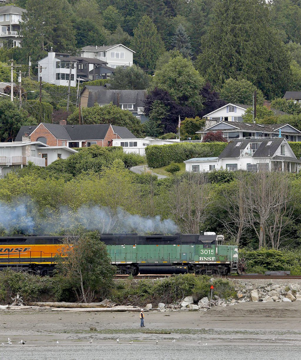 Snohomish County Public Works&rsquo; Fred Bushby (bottom) walks along Howarth Park beach Tuesday in Everett as a train rolls by. Work being done to add sediment to existing coastline at the park will add an additional 200 to 300 feet of beach for the public as well as help create more spawning grounds for fish. (Ian Terry / The Herald)
