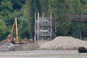 Return of Howarth beach can’t come soon enough for people or fish