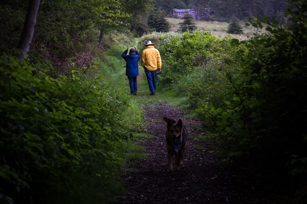 Lorayne Thompson and Bill Doyle walk the trails of Greenbank Farm during the Meals on Wheels Walkathon and fundraiser on May 21 on Whidbey Island. (Daniella Beccaria / For the Herald)