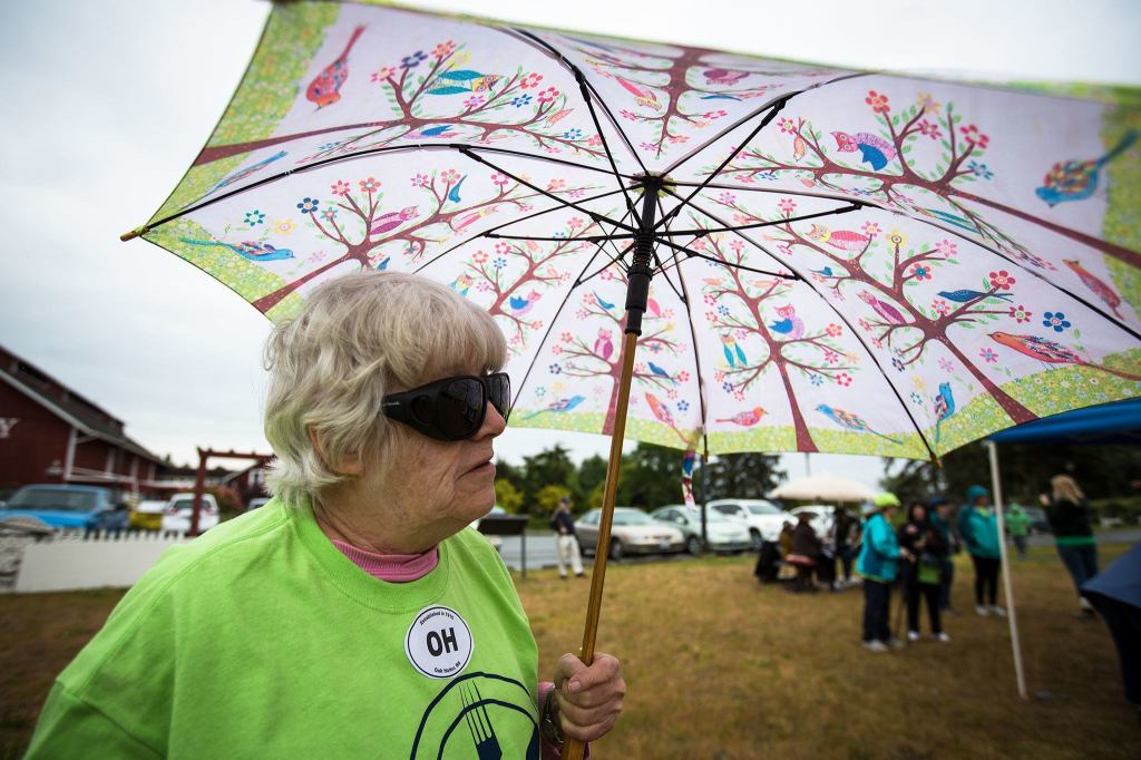 Pat Carlisto keeps dry under her colorful umbrella during the Meals on Wheels Walkathon and fundraiser on May 21 on Whidbey Island. (Daniella Beccaria / For the Herald)