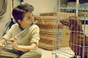 ‘Wiener-Dog’ has compelling dialogue but it’s a brutal story