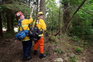 Officials seek homeowner help after wildfires in May