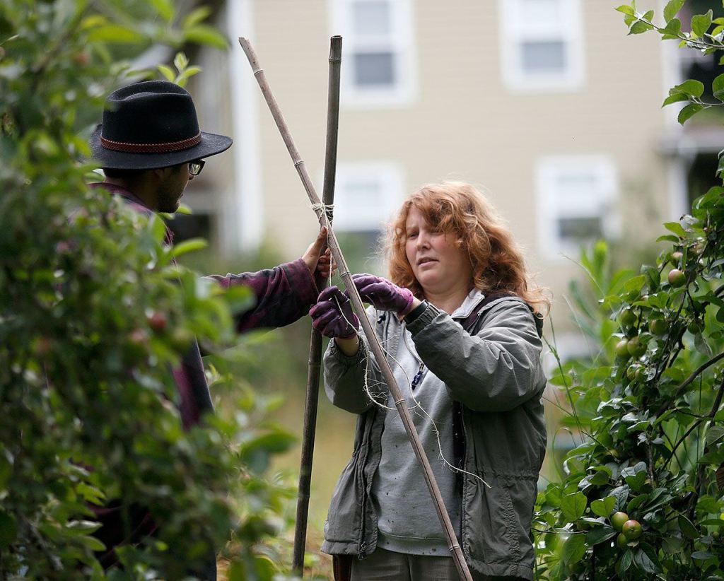 Temporary worker, Jacob Sandoval, 24 (left) helps resident Katie Stein tie up some stakes in one of the fruit tree orchards at Songaia. (Dan Bates/The Herald)