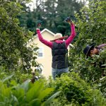 Songaia resident, Laura Klepfer, 62, stretches her arms after a lot of bending over while thining a garden area.(Dan Bates/The Herald)