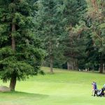 Golfers make their way down the fairway at Lynnwood Municipal Golf Course Thursday. (Kevin Clark / The Herald)