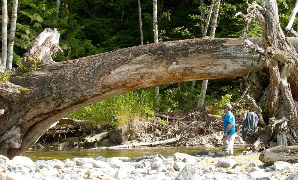 Trout fishing the tenkara way