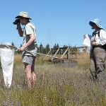 Butterfly watchers seek out the flitting insects