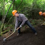 Northwest Youth Corps members Niko and Drew level the trail using grubber tools at Ebey&rsquo;s Landing National Historical Preserve in June. The two were part of an all-deaf crew making news trails at the park. (Andy Bronson / The Herald)