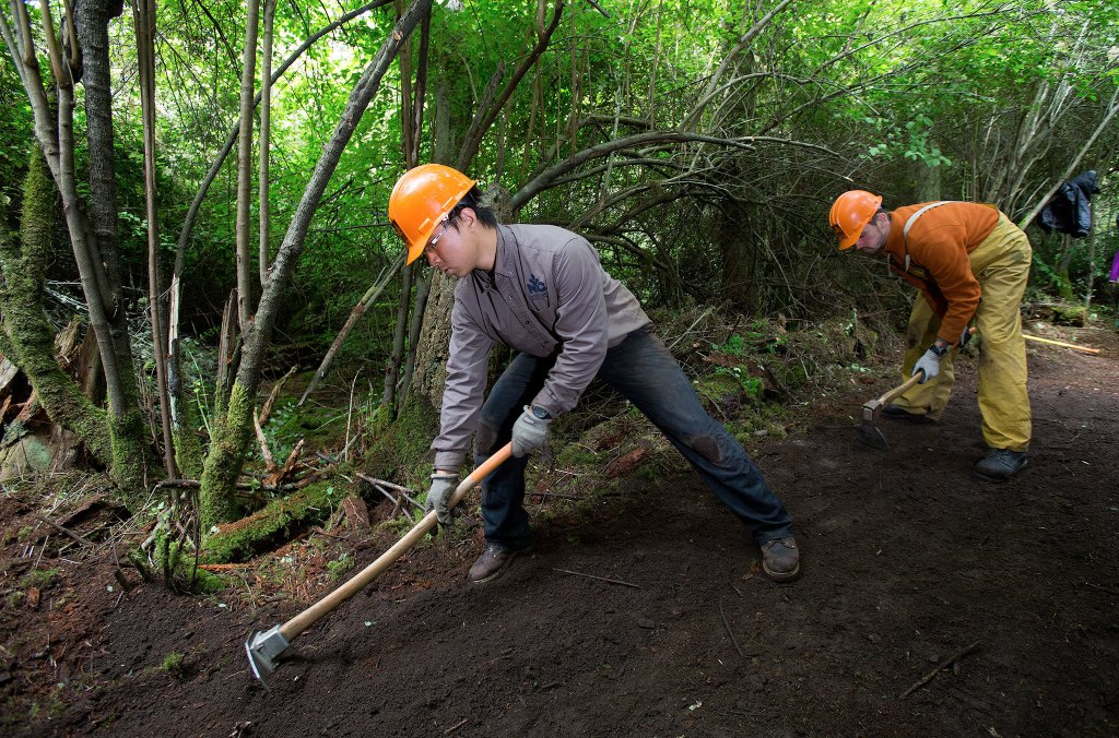 Northwest Youth Corps members Niko and Drew level the trail using grubber tools at Ebey&rsquo;s Landing National Historical Preserve in June. The two were part of an all-deaf crew making news trails at the park. (Andy Bronson / The Herald)