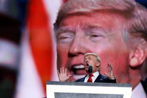 The Trump and Clinton campaigns get Chia hairy