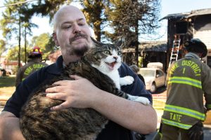 Fire destroys duplex south of Everett, displaces 4 people