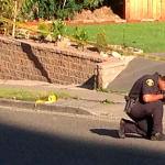 No injuries after shots fired in Lynnwood