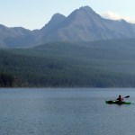 Wildlife officials seek Grizzly that killed mountain-biker