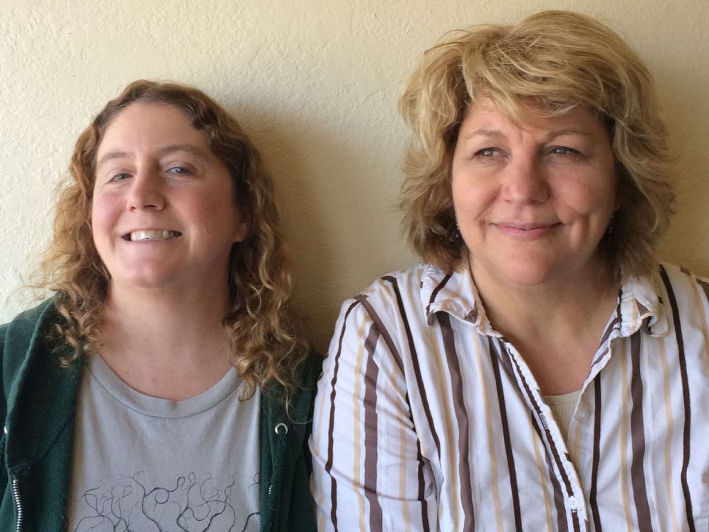 Barbara Sanderson and Marrisa Motto are the organziers behind the free Spring Green Art Festival.