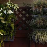 Matt Keenan and Kristen Boswell&rsquo;s deck has a sturdy fence that supports several vertical gardens.