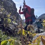 Shuwen Wang encounters a &ldquo;grove&rdquo; of poison ivy stems, leaves and berries along the Snake River Trail in Hells Canyon.