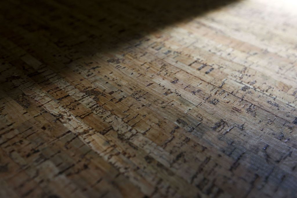 Cork floors are seen in a house currently for sale at the eco-housing community.