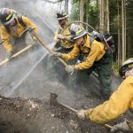 Wes Atwood (from left) Branden Campbell, Shayla Adkins and Joshua Scott work to put out a hot spot at the scene of the Hot Shot fire Wednesday outside Oso. The fire was discovered in an active timber harvest area May 12 and is 100 percent contained.