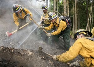 Wes Atwood (from left) Branden Campbell, Shayla Adkins and Joshua Scott work to put out a hot spot at the scene of the Hot Shot fire Wednesday outside Oso. The fire was discovered in an active timber harvest area May 12 and is 100 percent contained.