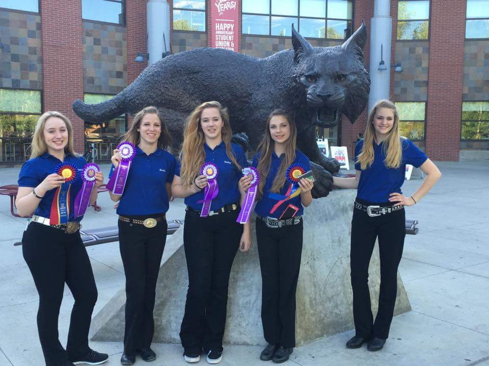 The Snohomish County-based senior team took the championship at the State Horse Bowl Competition, held May 7 at Central Washington University in Ellensburg, and will now represent Washington at the Eastern National 4-H Horse Roundup, Nov. 4-6 in Louisville, Kentucky. Senior team members are Hallie Burkenpas (Monroe), Lillianna Andrews (Arlington), Shelby Nelson (Snohomish), Tenley Mange (Bellevue) and Nicole Gallagher (Brier).