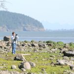 Volunteer Sue Ehler uses a spotting scope to count herons on Padilla Bay north and west of the Swinish Channel off March Point on May 6. The start of nesting season brings volunteers to Skagit County to tally the great blue herons.