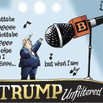 Editorial cartoons for Friday, Aug. 19