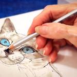 Kevin Clark / The Daily Herald                                Residents and guests of Everett Garden Court Retirement Community paint pictures of the elderly dogs and cats available for adoption Friday afternoon in Everett on June 10, 2016.