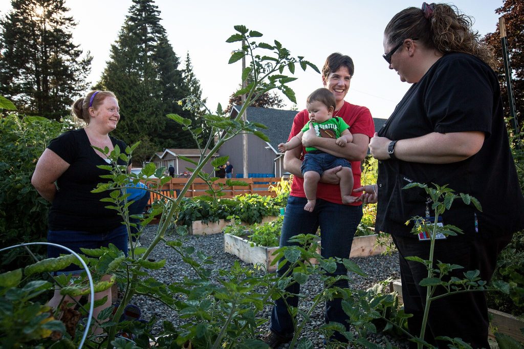 Wana Whitson (left), Joni Kirk, Heather Wallace and 7-month-old Zayden Whitson spend some time in the Garden of Hope, a garden providing affordable, healthy produce for people in the community, during a barbecue at the Snohomish Church of the Nazarene on Aug. 10. Kirk, the garden director, and members of the church planted the garden three months ago and are now seeing their hard work pay off with an abundance of fresh produce to share. (Daniella Beccaria / For The Herald)