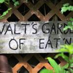 A sign decorates the garden of Walt Jacenko in Woodinville featuring dahlias of all colors along with vegetables dotting the one-acre landscape. (Kevin Clark / The Daily Herald)