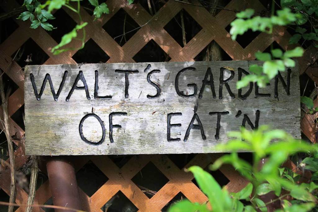 A sign decorates the garden of Walt Jacenko in Woodinville featuring dahlias of all colors along with vegetables dotting the one-acre landscape. (Kevin Clark / The Daily Herald)