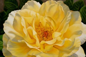 Where to see art around Snohomish County and beyond